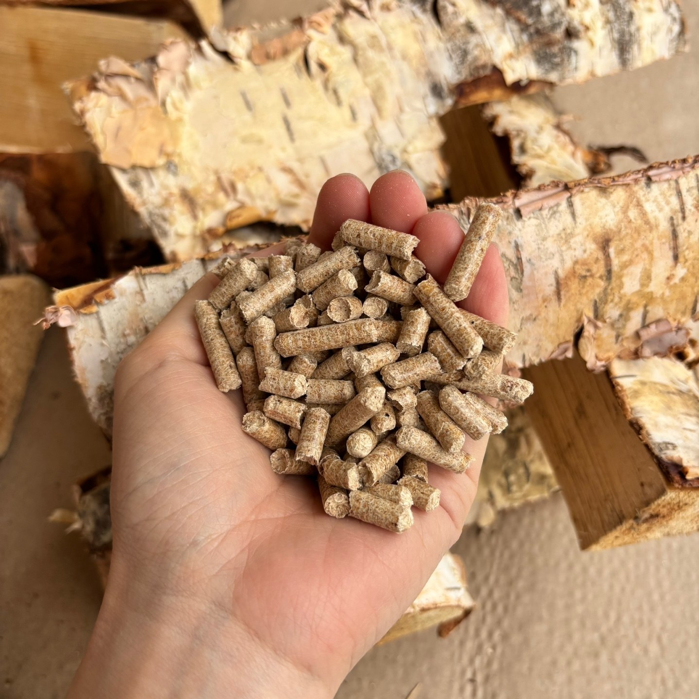 Wood pellets from Virgin Planet company materials held in a hand